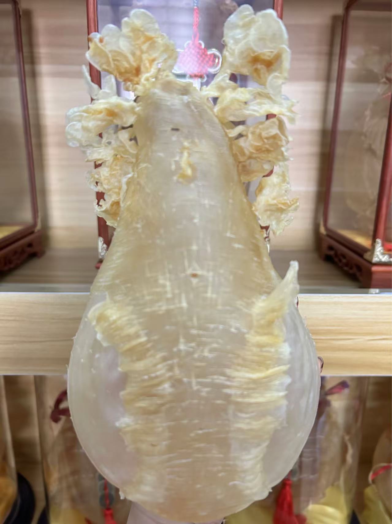 横直胶   灯笼胶130克