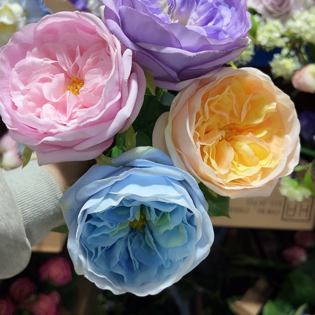 4枝混色手感朱丽叶玫瑰