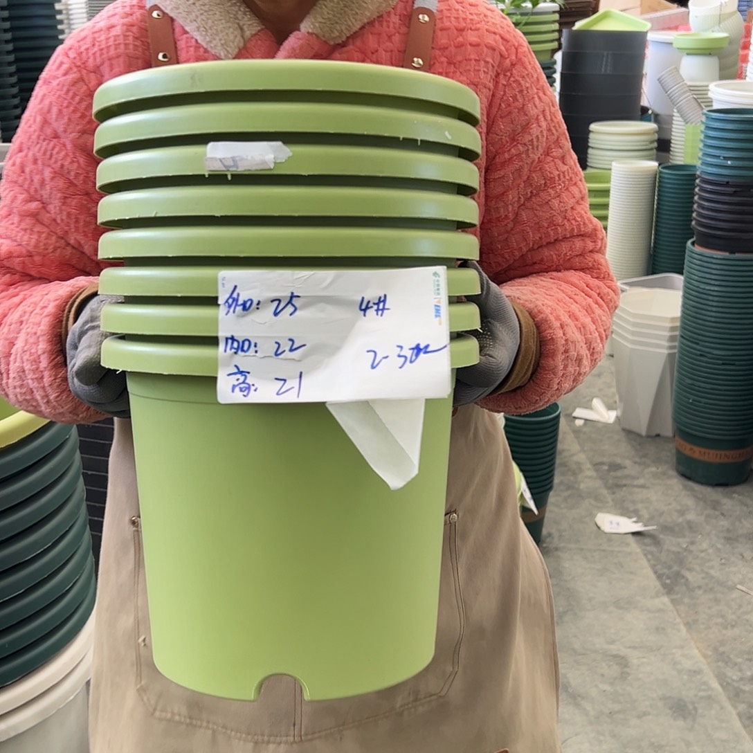 四季盆4#果绿色8个无托