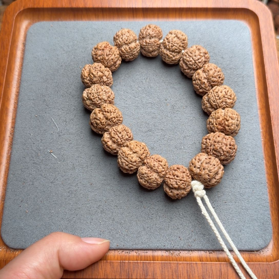 菩提菩提6号尼泊尔大金刚20+矮庄梅花