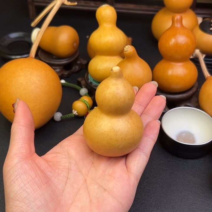 小**柒葫芦葫芦葫芦葫芦