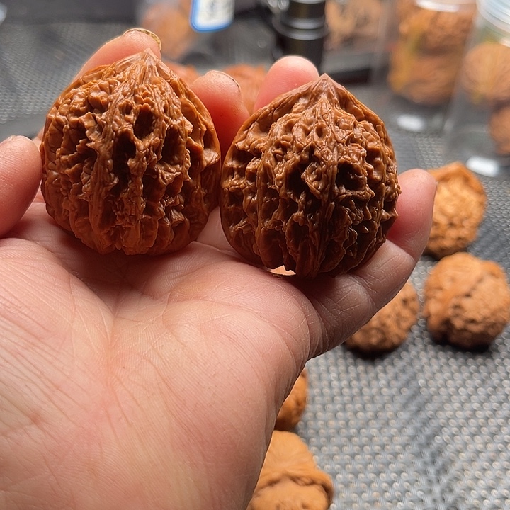 把件桃核九龙筋边43肚43