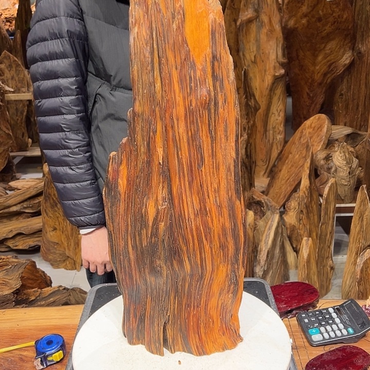 松木（琥珀木）～****8