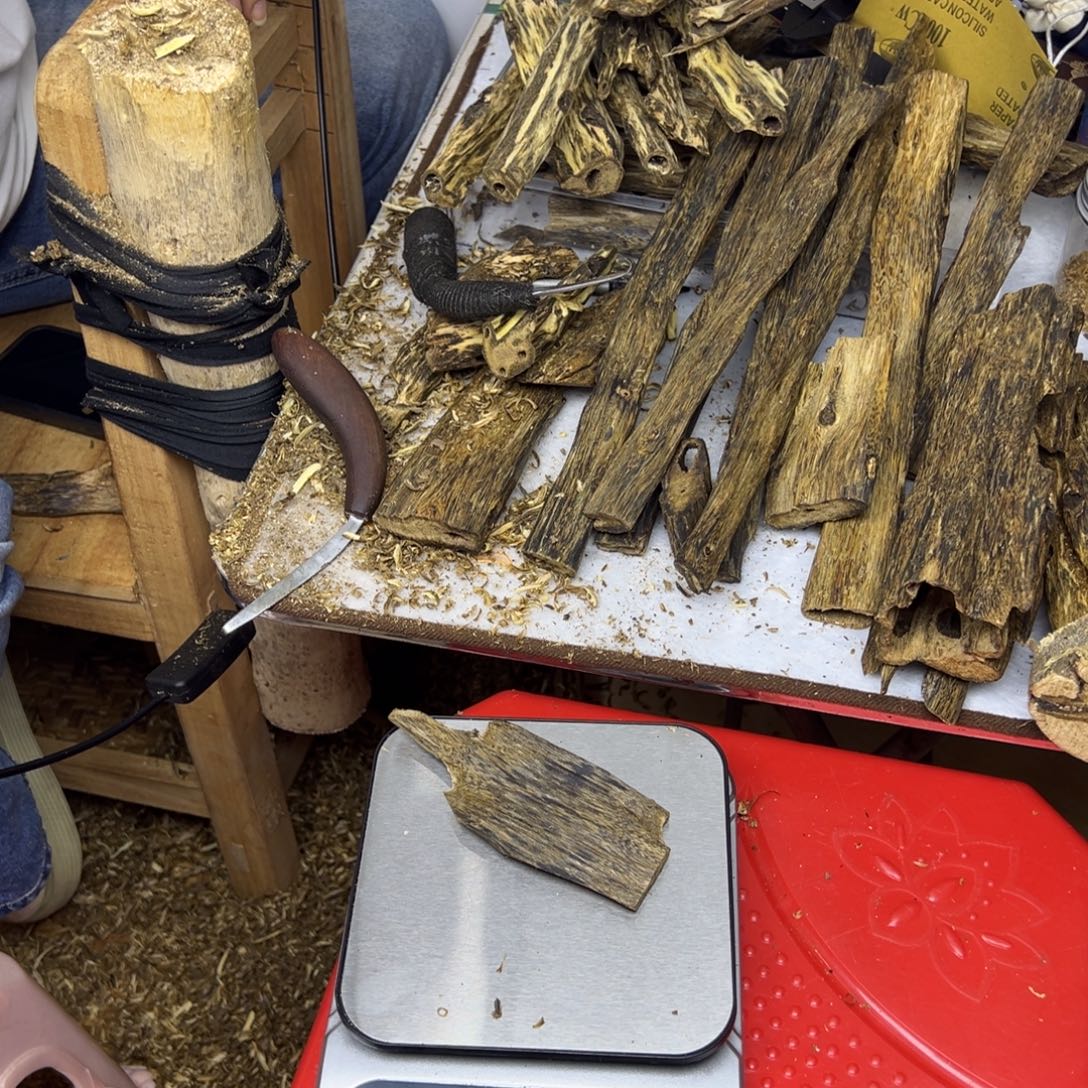 线香奇楠虫漏香22克