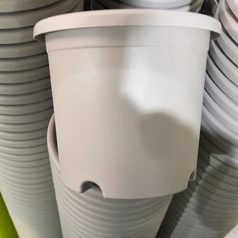 树脂四季2号灰白无托20个微瑕