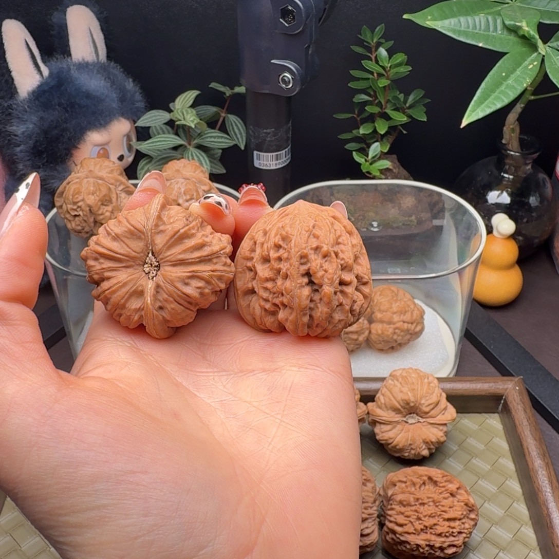 龙脊菩提把件全品平谷凹底40