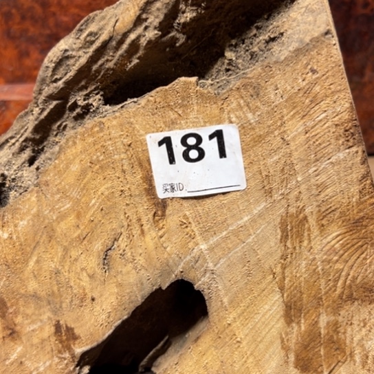 大果紫檀（缅甸花梨）