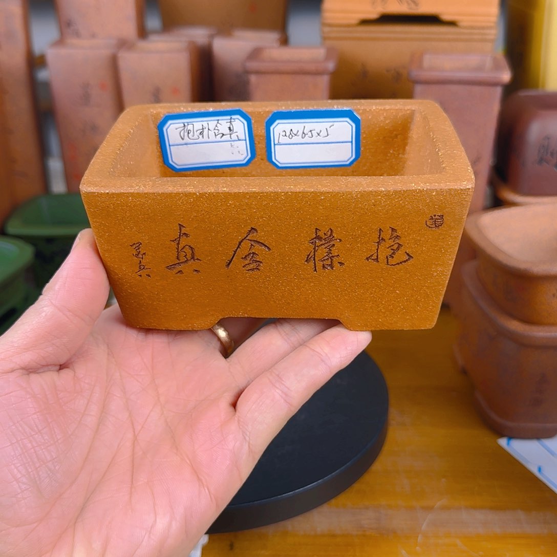 紫砂花盆云*紫砂花盆