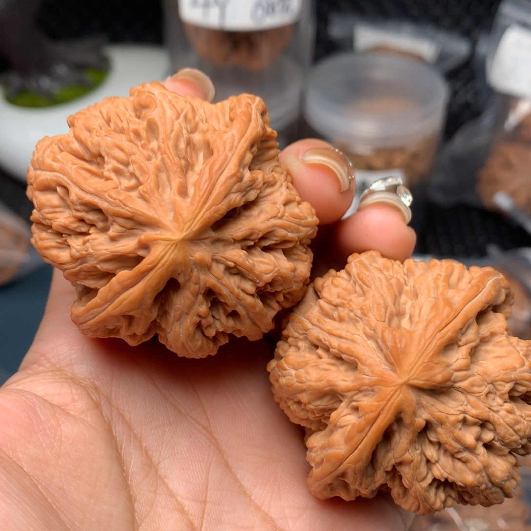 【闪购商品】文玩核桃把件巴**天51-5127-06