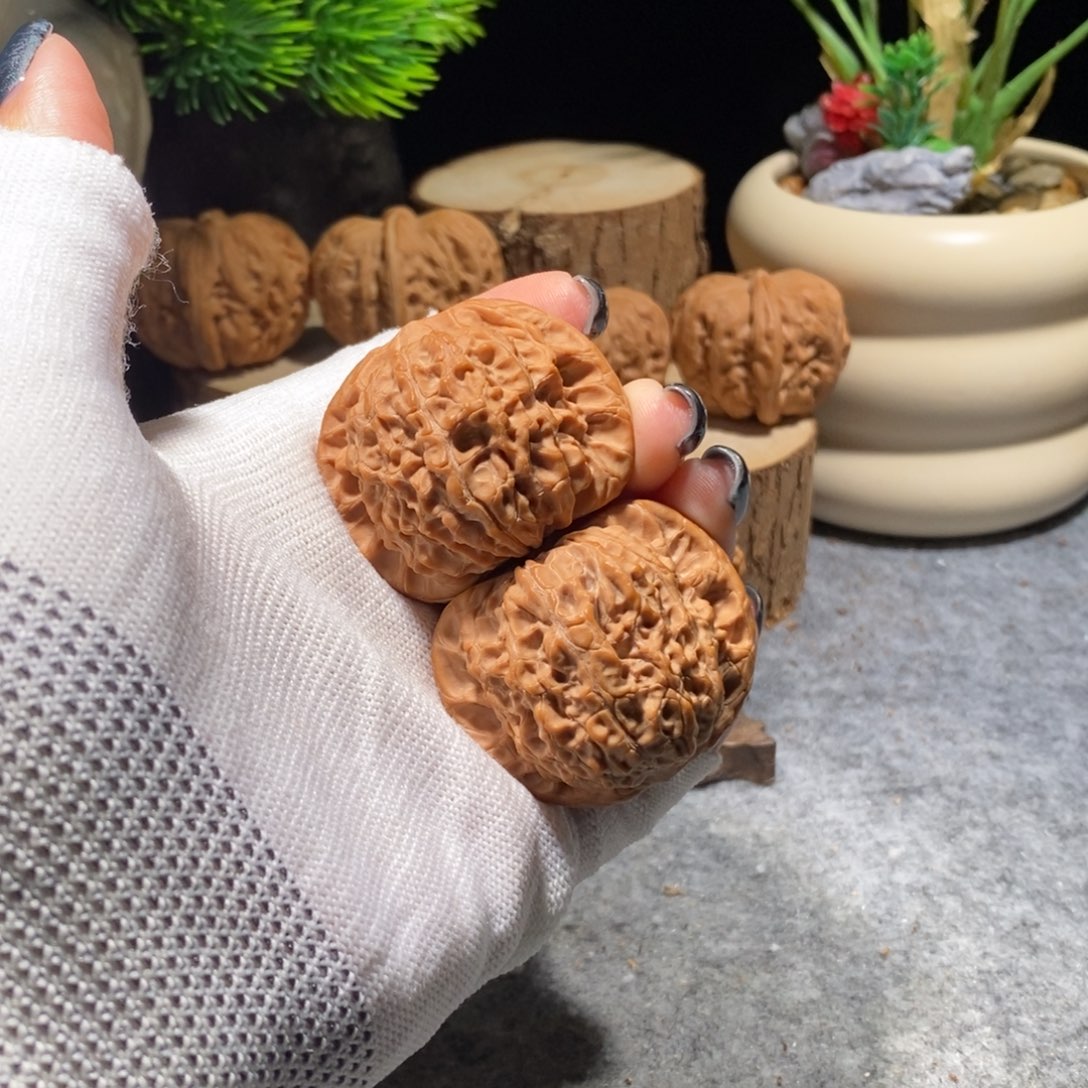把件核桃全品43血麒麟毕业对