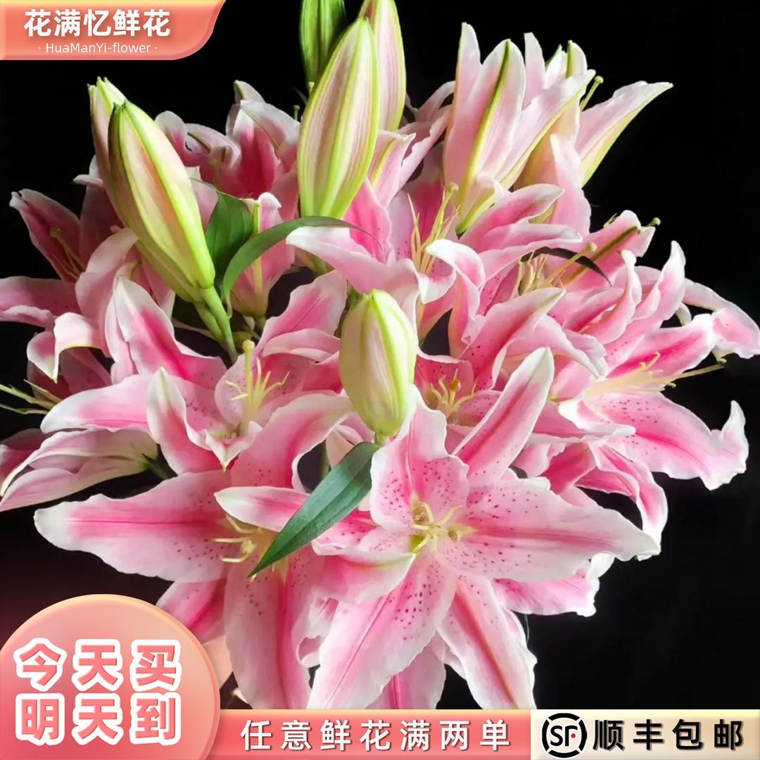 次日达 -【粉色百合】6朵粉色百合鲜花鲜切花家居花批发任意满两单顺丰包邮三单送花瓶今天拍明天到10
