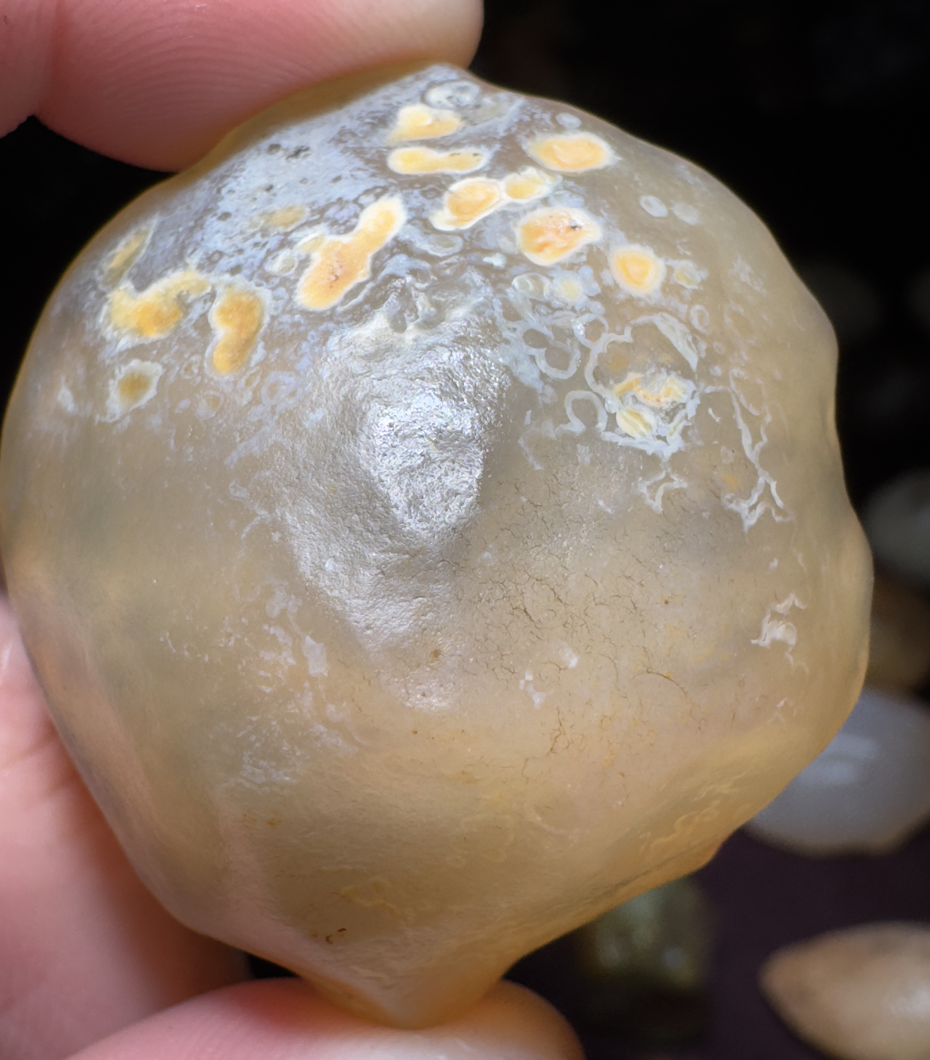 阿拉善银根早期地表原石 满身挂漆 完整 斗笠形