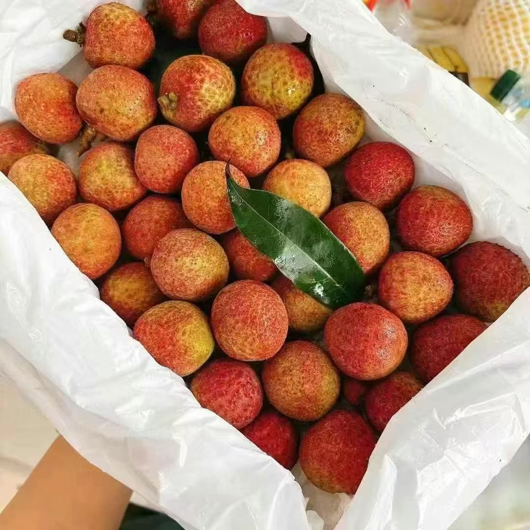 《果虎》空运桂花香荔枝 香甜多汁顺丰包邮2.5斤海南省