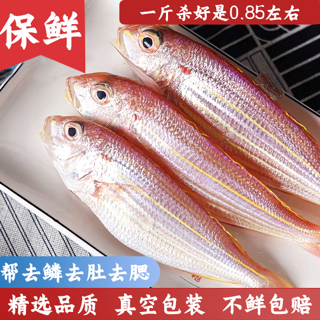 金线鱼 小金丝鱼广东正宗刀里海鲜（约7~9条/斤）帮杀嫌小勿拍