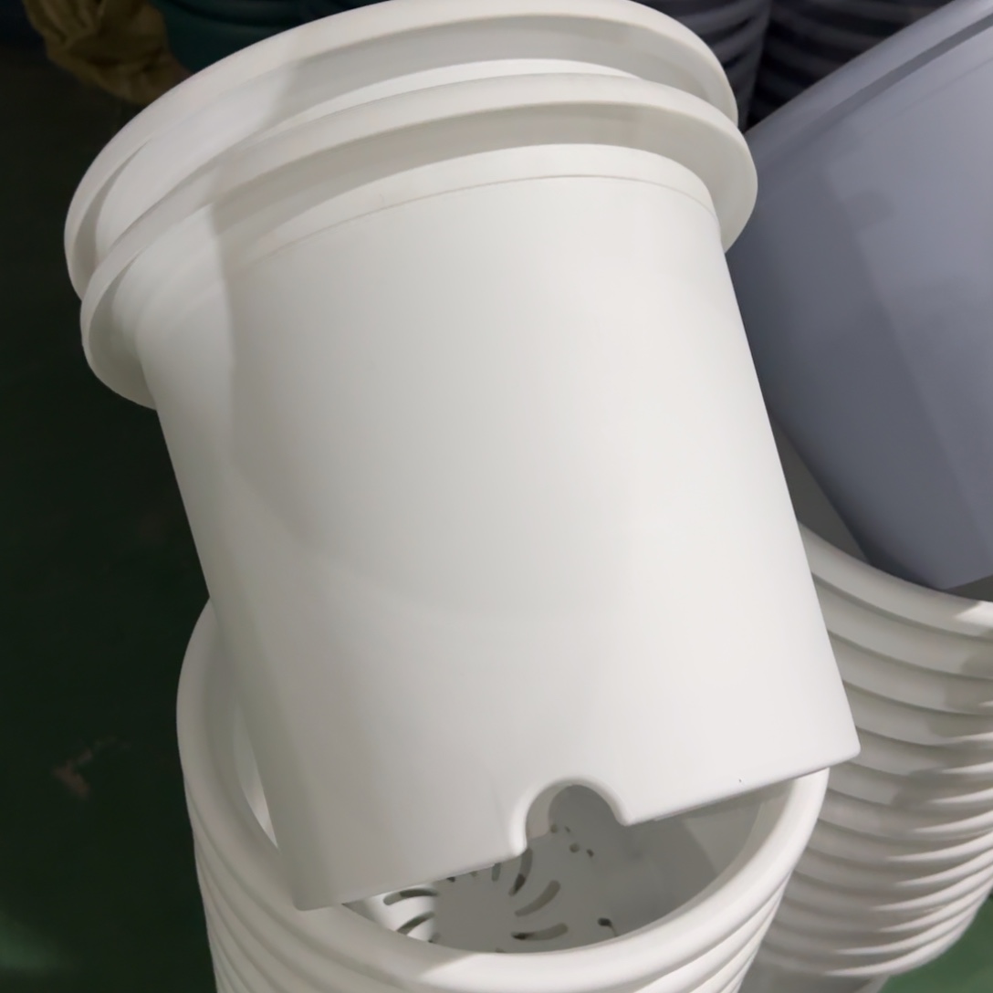 树脂纯白6#无拖10个