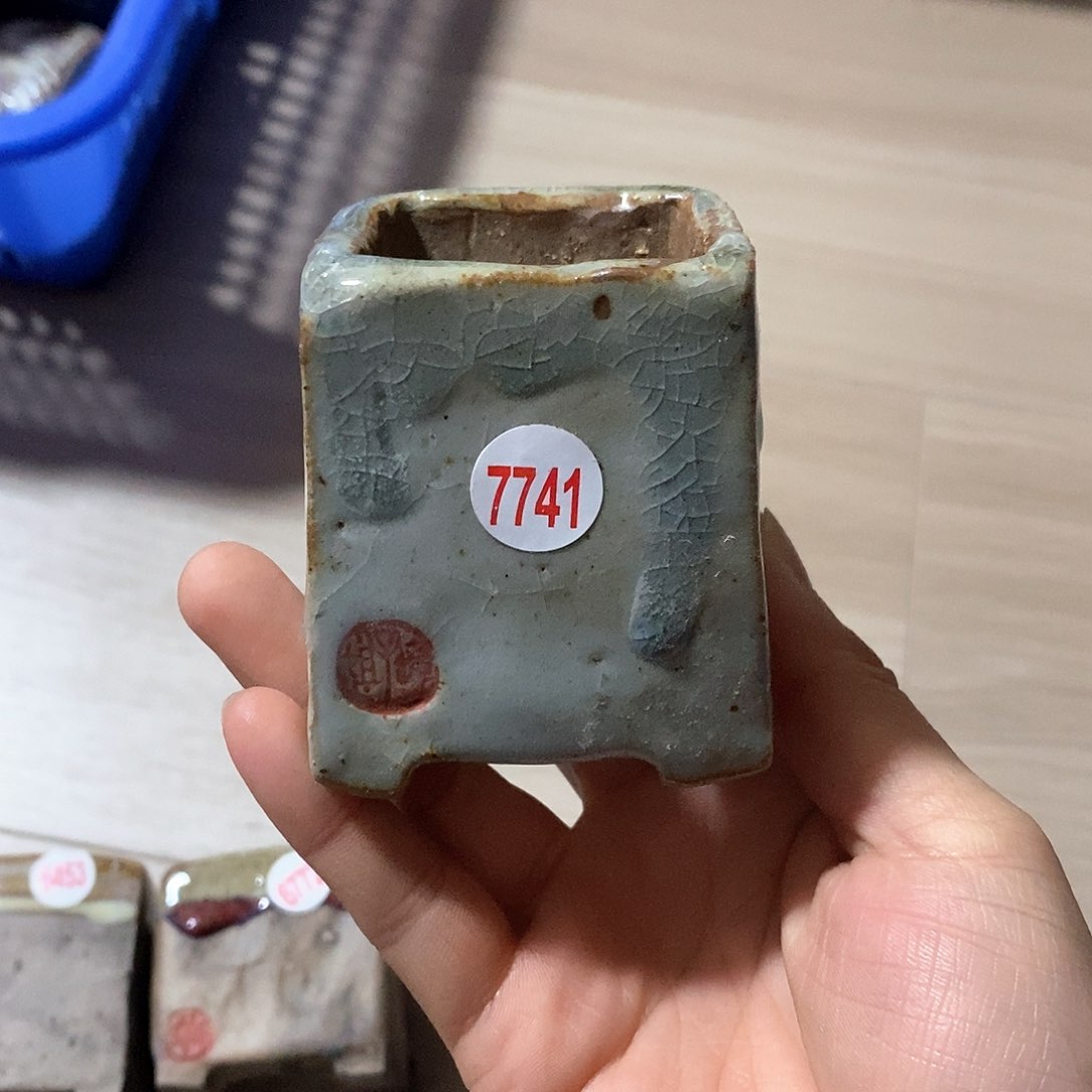 红陶舞*处理，处理的