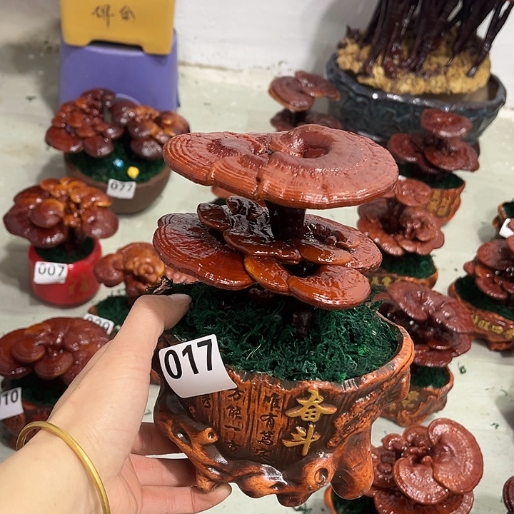 全部花朵88888888888888888888