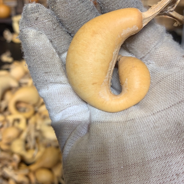 八宝鱼也好香的那种吧