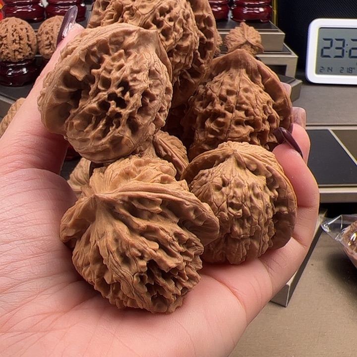 文玩核桃把件官帽➕秦皇岛元宝➕白狮子g-011