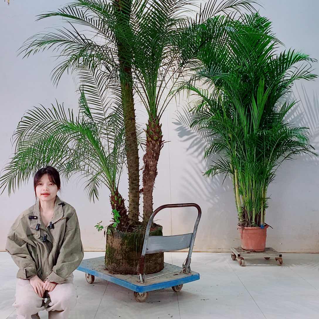 完全开放芜****司57775477