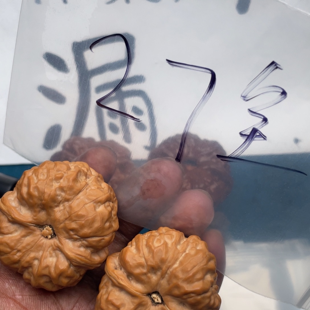 573573537753753537537