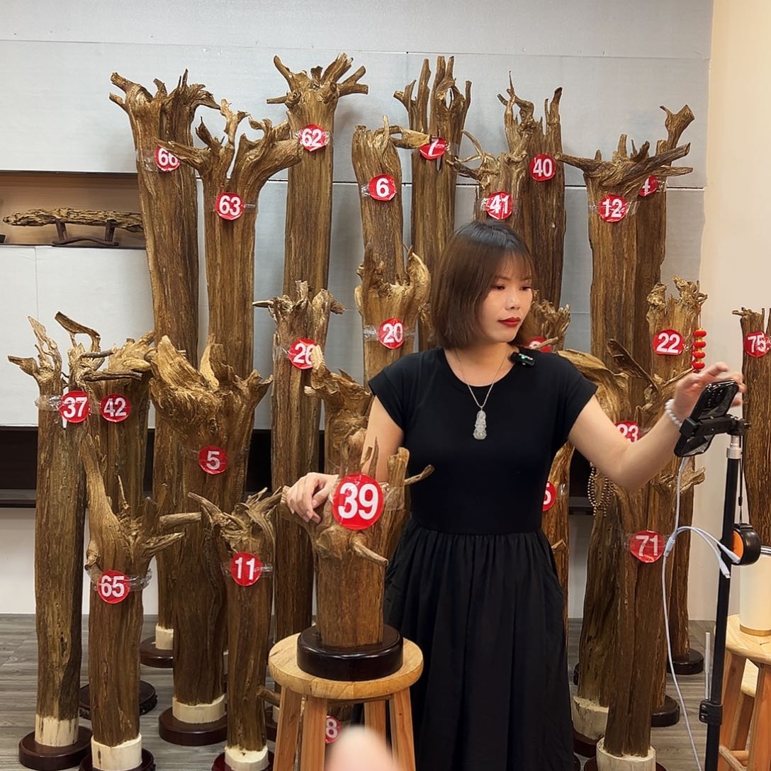 摆件沉香沉香摆件