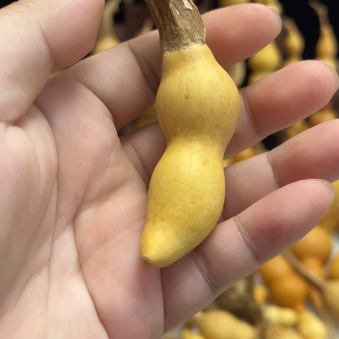 很***塞藤葫芦葫芦葫芦葫芦