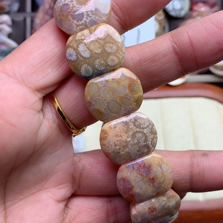 硅化珊瑚（珊瑚玉）颈饰未镶嵌