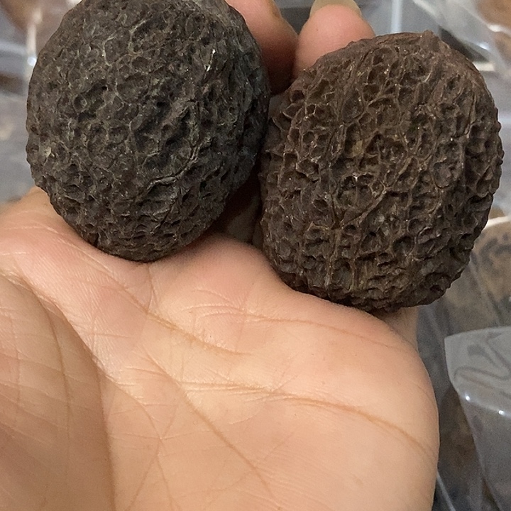 文玩核桃把件云南铁核桃基地6