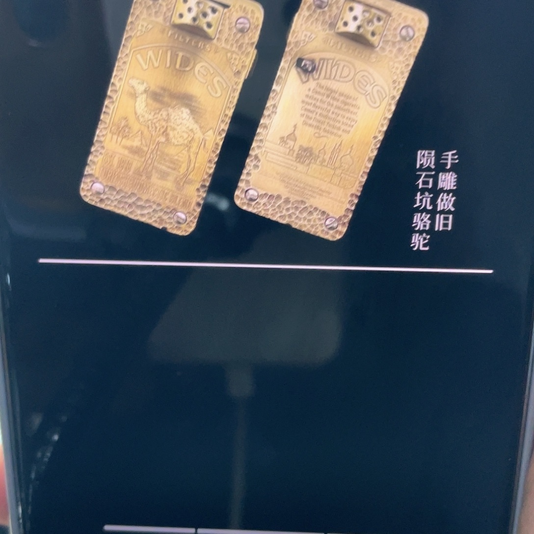 238手雕陨石坑骆驼