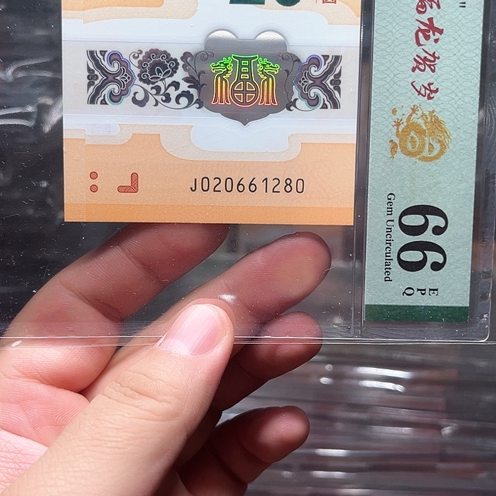 塑料龙钞啊啊啊啊啊啊啊啊啊