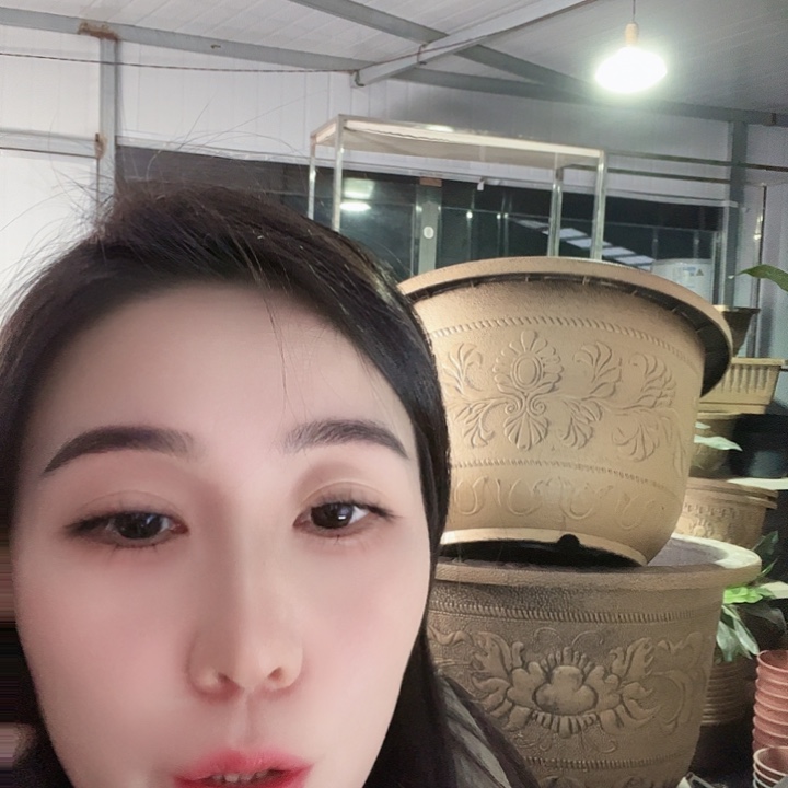 圆40口径花盆两个