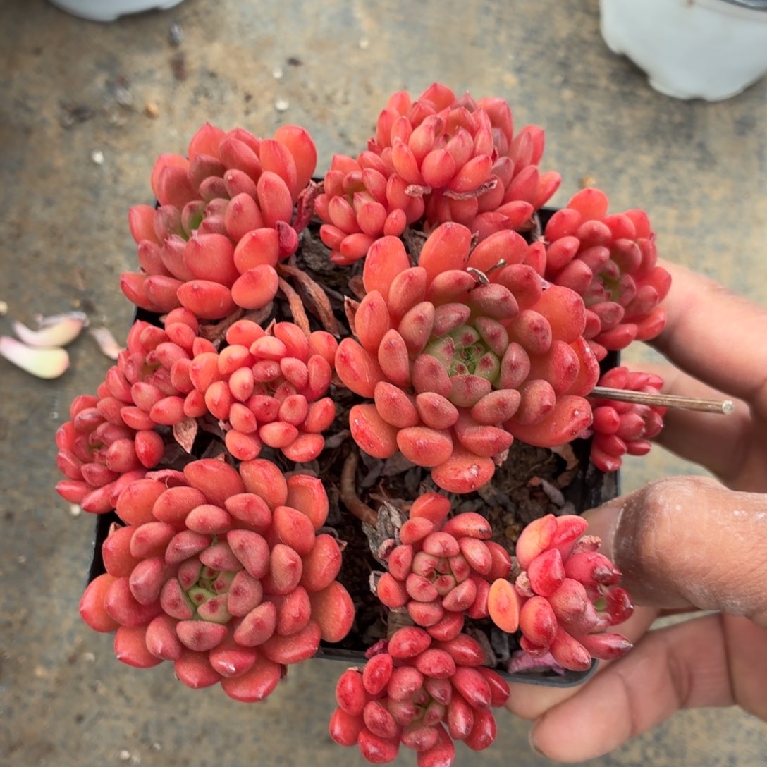 我在开会不回你消息啦