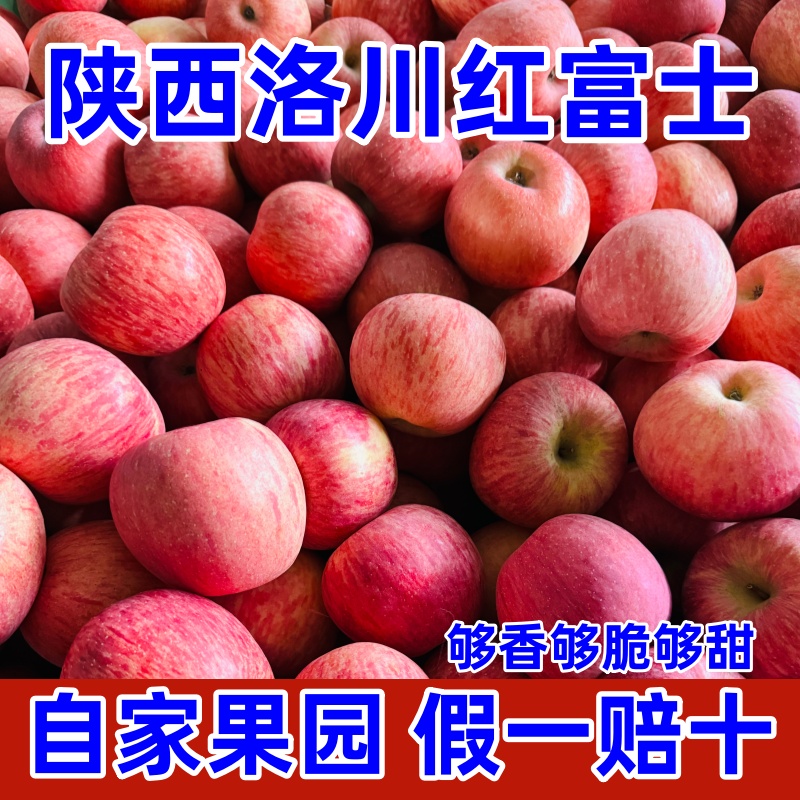 正宗陕西洛川红富士苹果脆甜多汁新鲜当季水果2025年新果产地直发