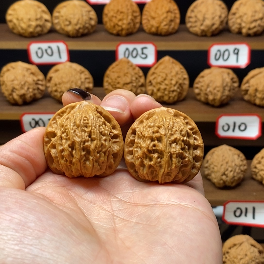 36尺微修金牛008黄