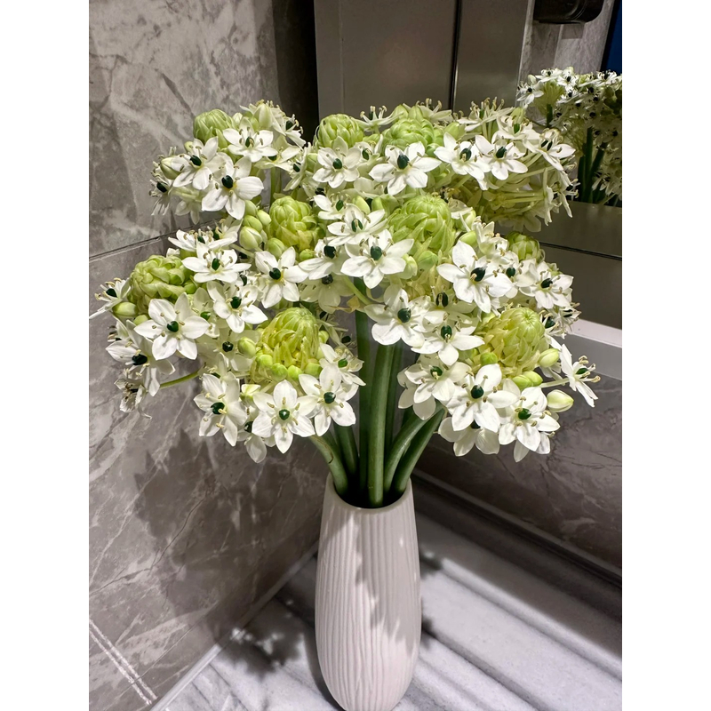 【天鹅绒】 一单包邮 云南鲜花昆明基地现采现发