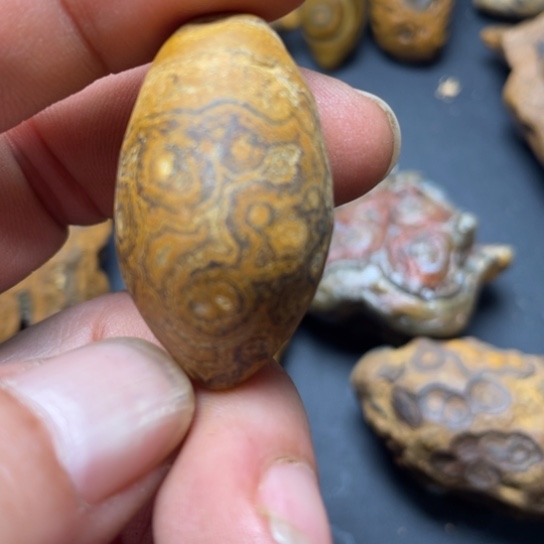 石材纯天然原石奇石240