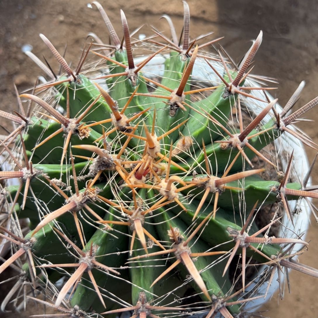 姚****零零落落 零零落落