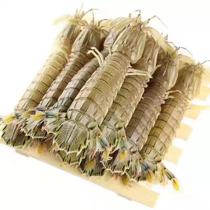 ［万源优选］鲜活皮皮虾250g~500g