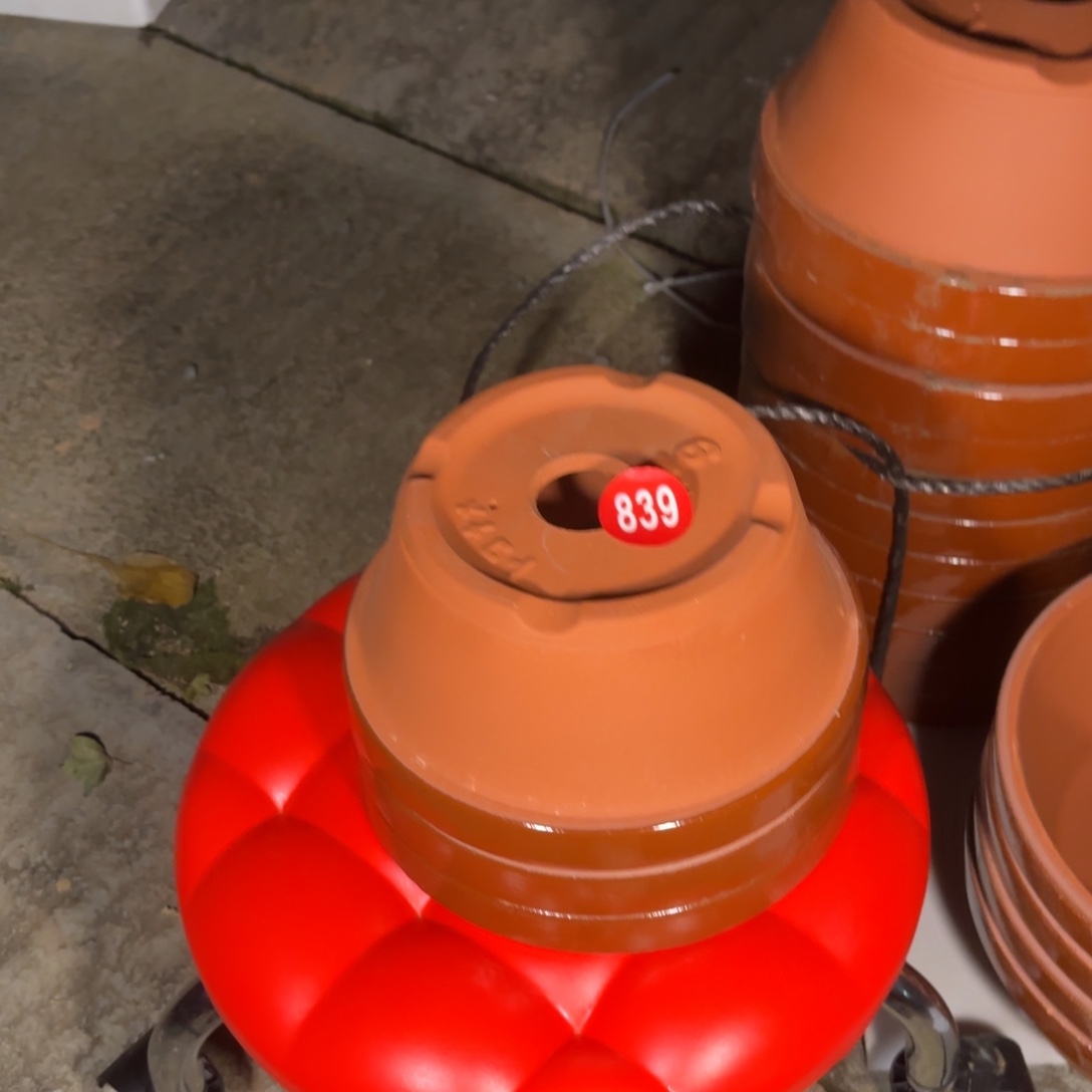 周全场盆景839号包邮