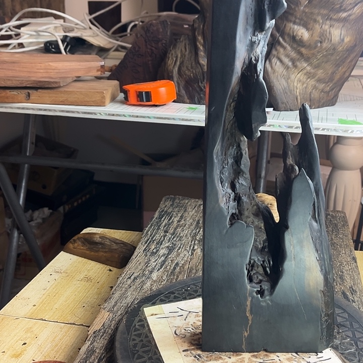 空***空苍月乌木风化随型木料