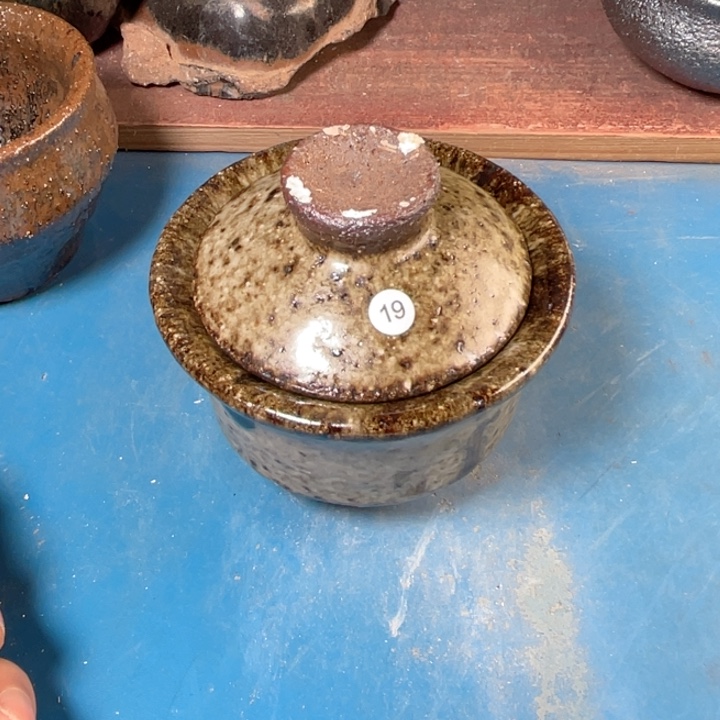 茶宠盏盏灯都是我的爱啊