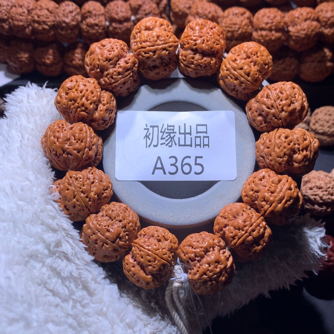 金刚菩提手串25尺九龙粗筋梅花定制