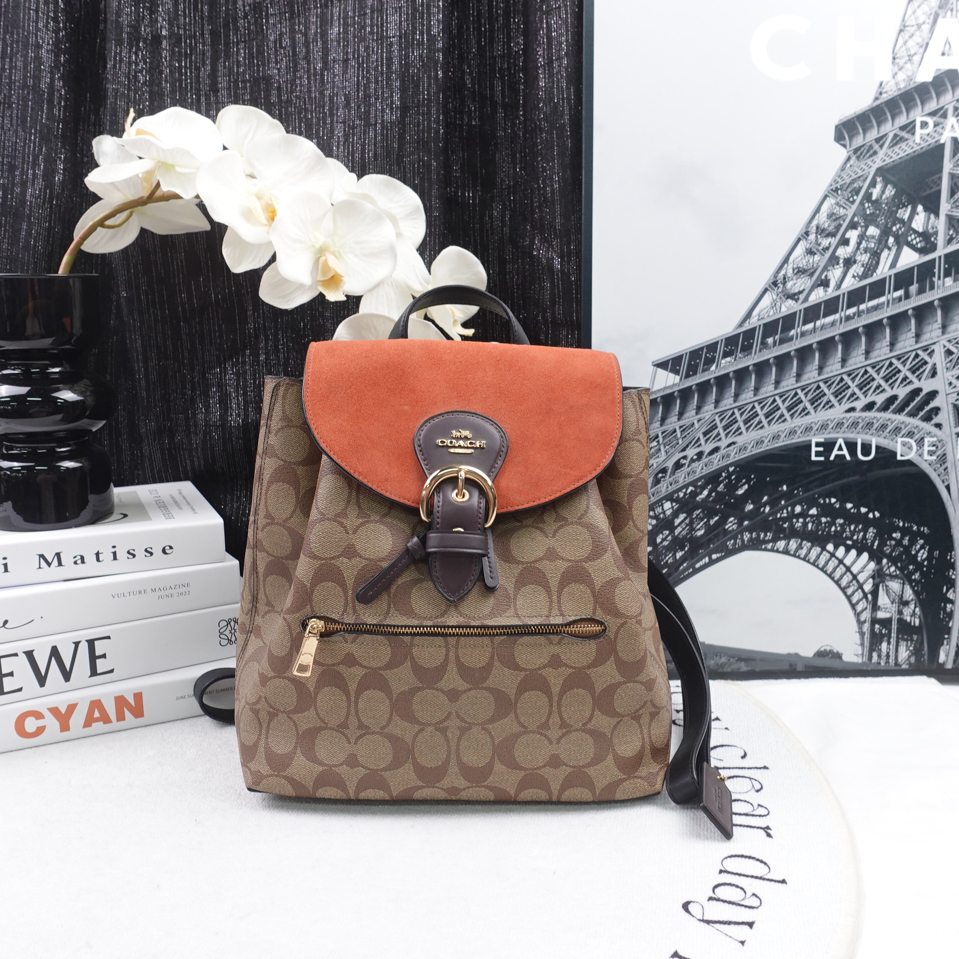 95新 COACH/蔻驰 双肩包/T10170665