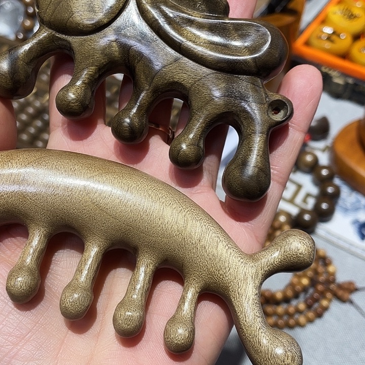 开***果金丝楠金丝楠木小叶桢楠