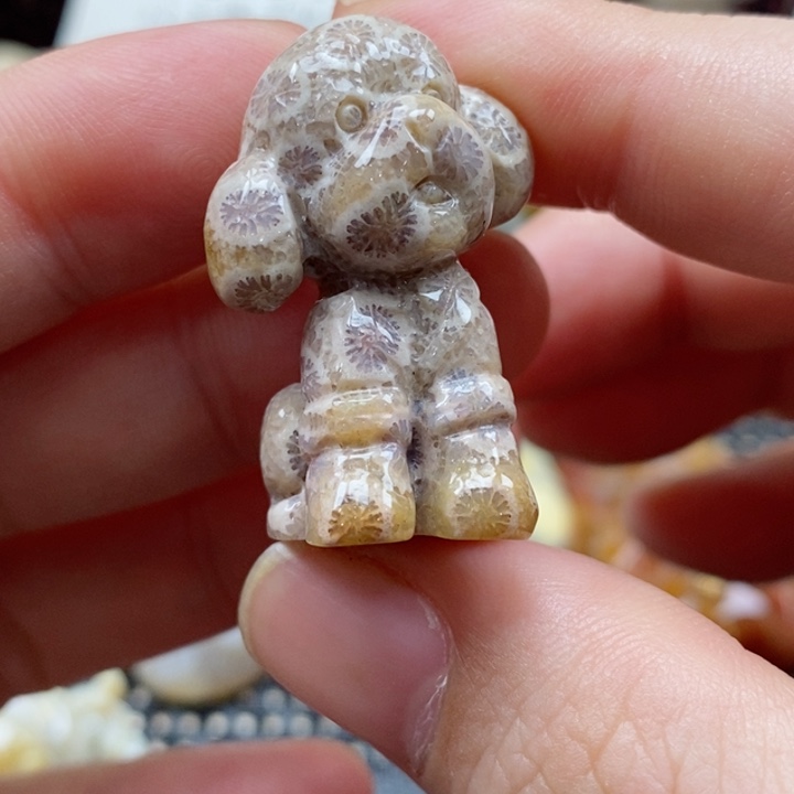 硅化珊瑚（珊瑚玉）颈饰未镶嵌