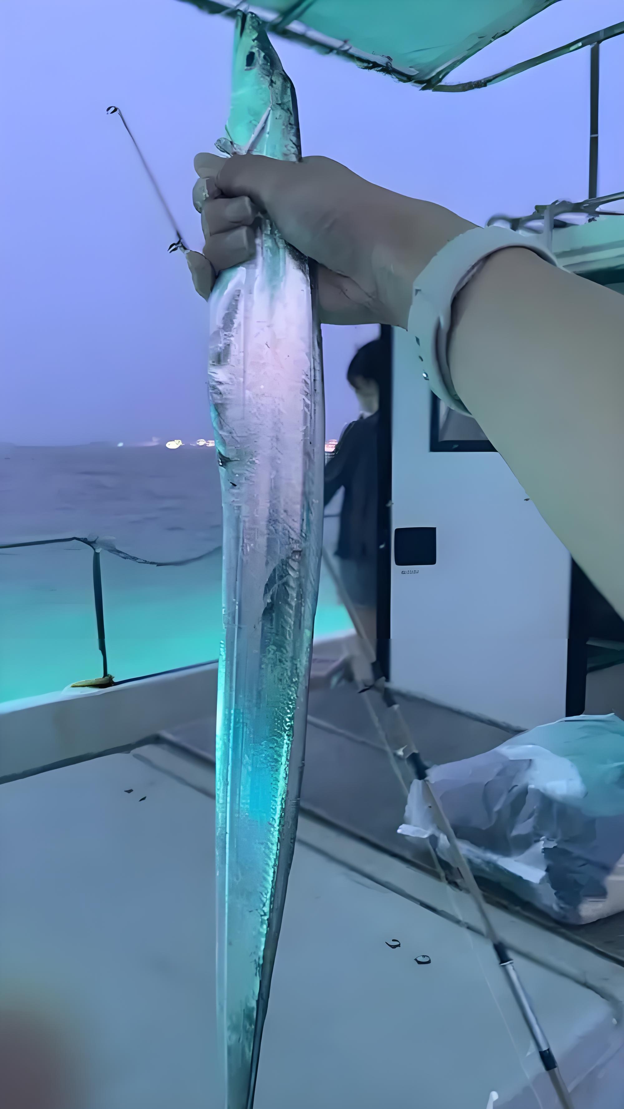 南石海域钓口冰鲜黄带鱼