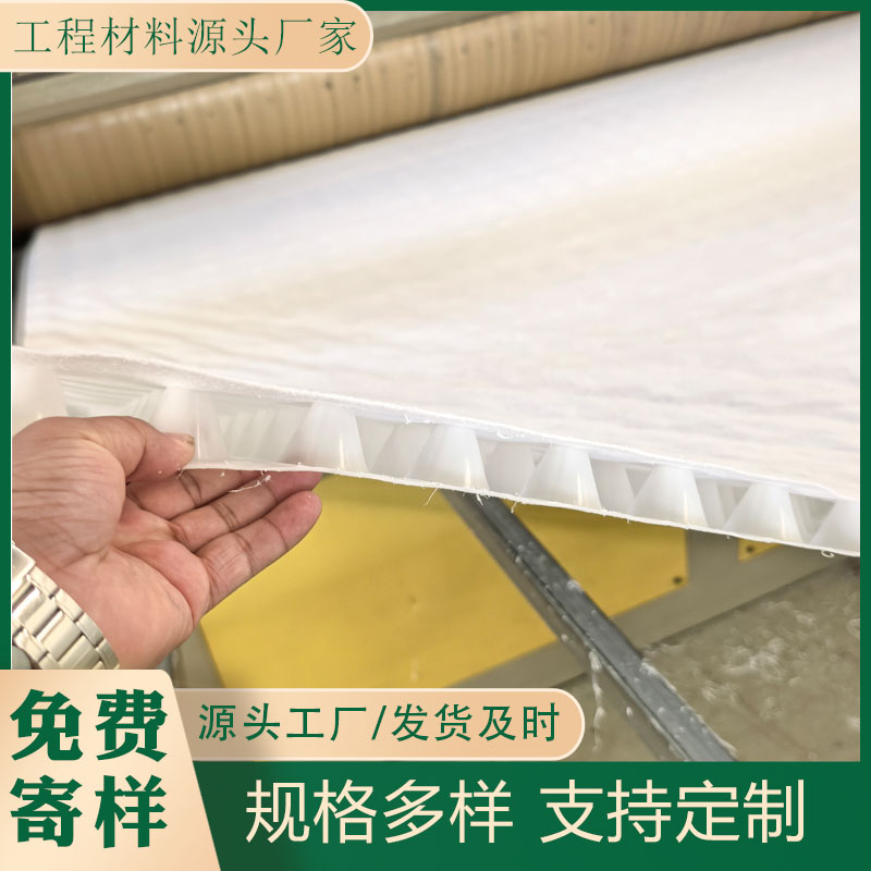 虹吸排水板高分子防护排水异形片海绵城市排水系统复合排水板