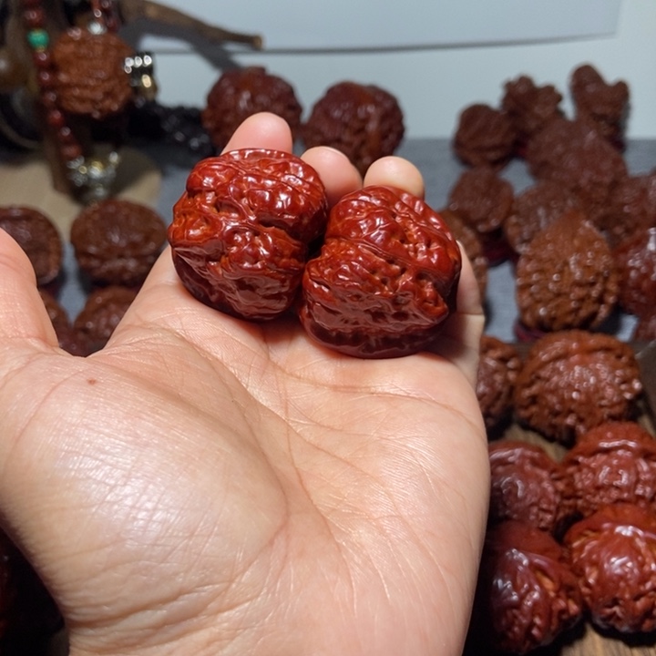 晓***核桃蛤蟆111111111