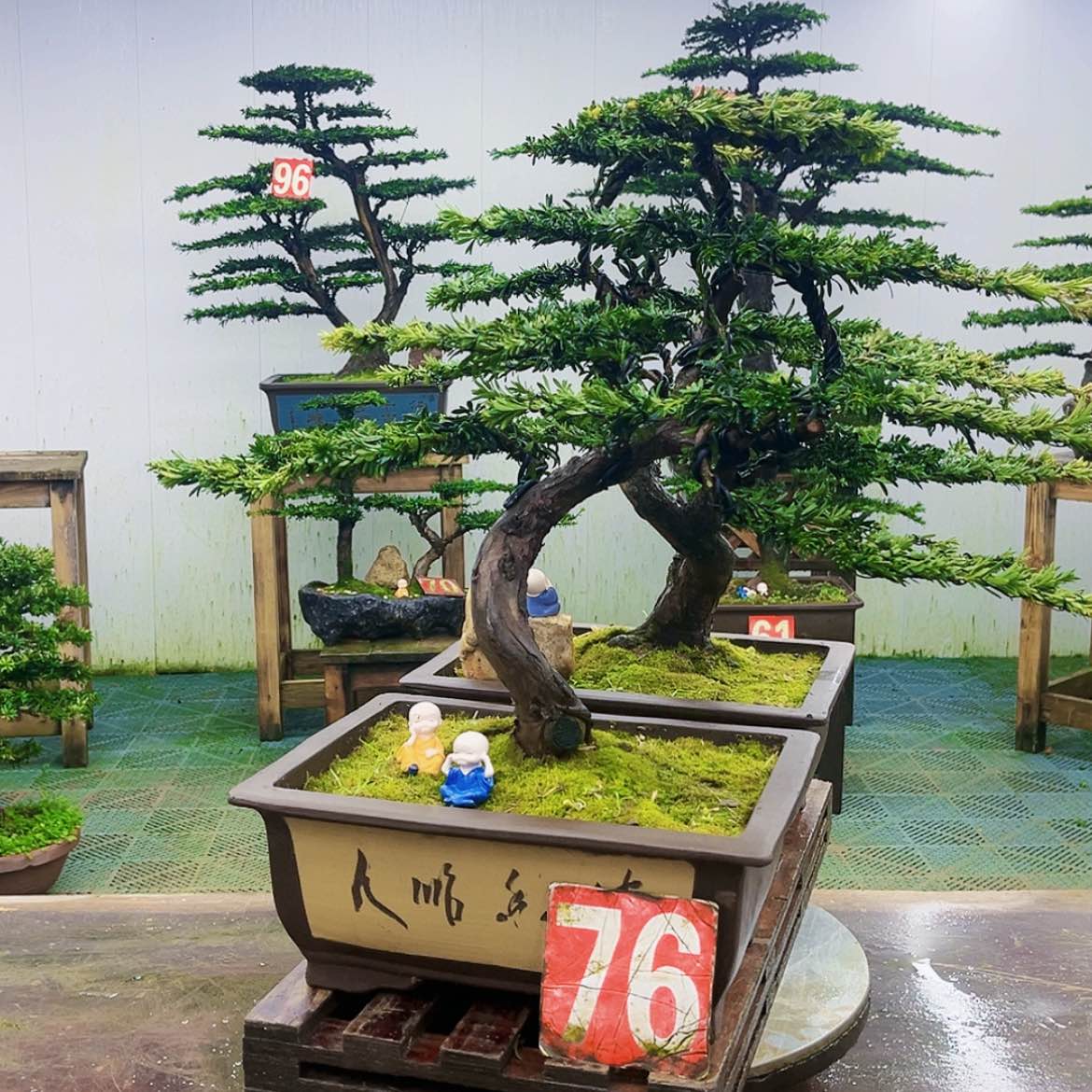 【闪购商品】无花朵